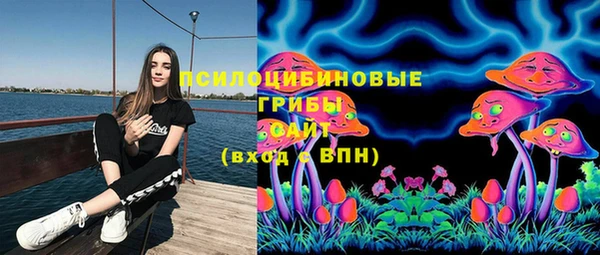 гидропоника Абинск