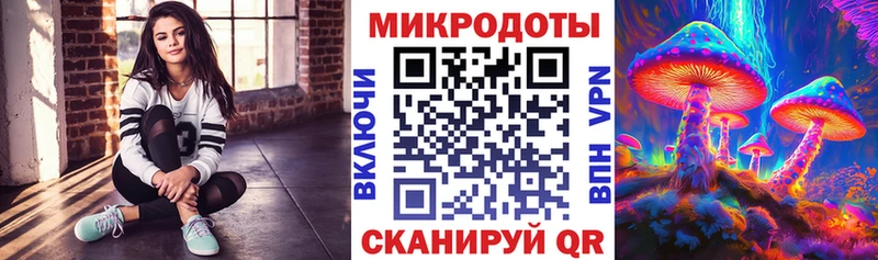 Галлюциногенные грибы Cubensis Каменск-Уральский